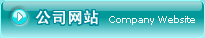 公司网站